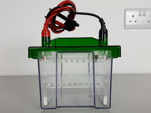Image of item