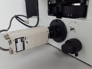 Image of item