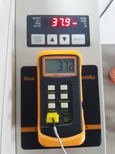 Thumbnail image of New Brunswick Scientific Classic C25KC Shaking Incubator Shaker Lab