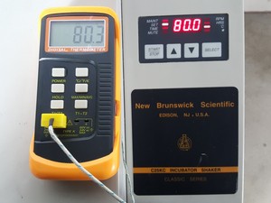 Thumbnail image of New Brunswick Scientific Classic C25KC Shaking Incubator Shaker Lab