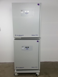 Image of item