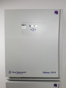 Thumbnail image of Eppendorf New Brunswick Galaxy 170 S Laboratory Incubator Double Stack Lab