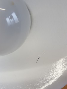 Thumbnail image of 3 x Anglepoise Style Lamps - Aluminor, Helix VL2, Helix VL1240 & Magnifier