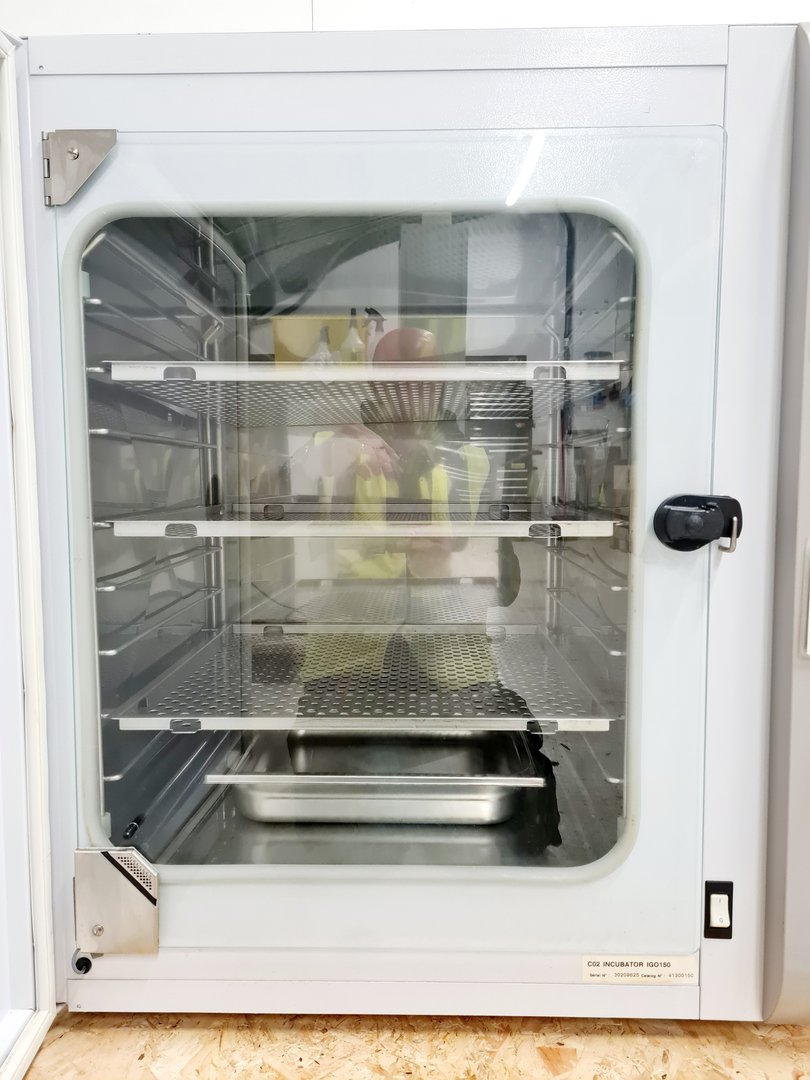 Image of Jouan IGO150 CELLlife CO2 Laboratory Incubator Lab