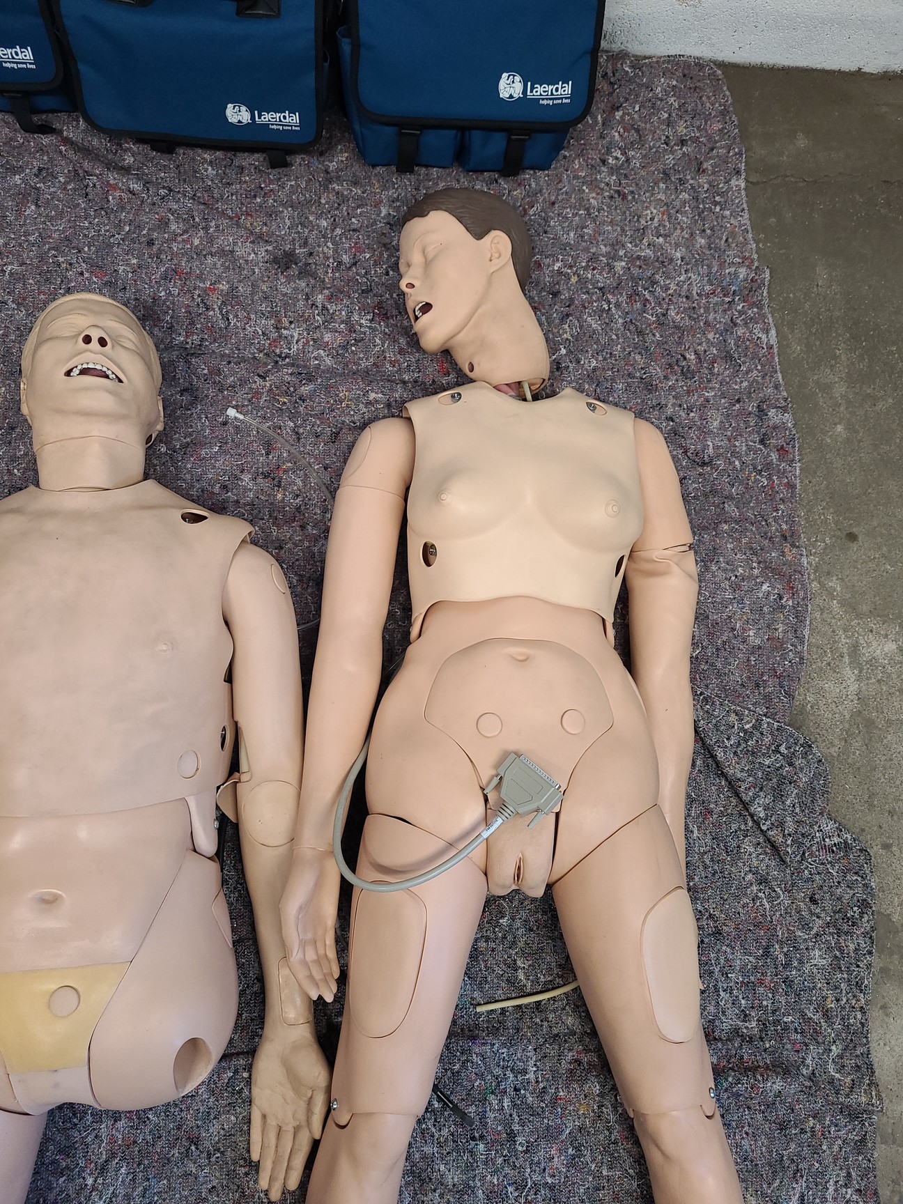 Image of 3 x Medical Practice First Aid Dummies & 6 x VitalSim Vital Signs Simulators Lab