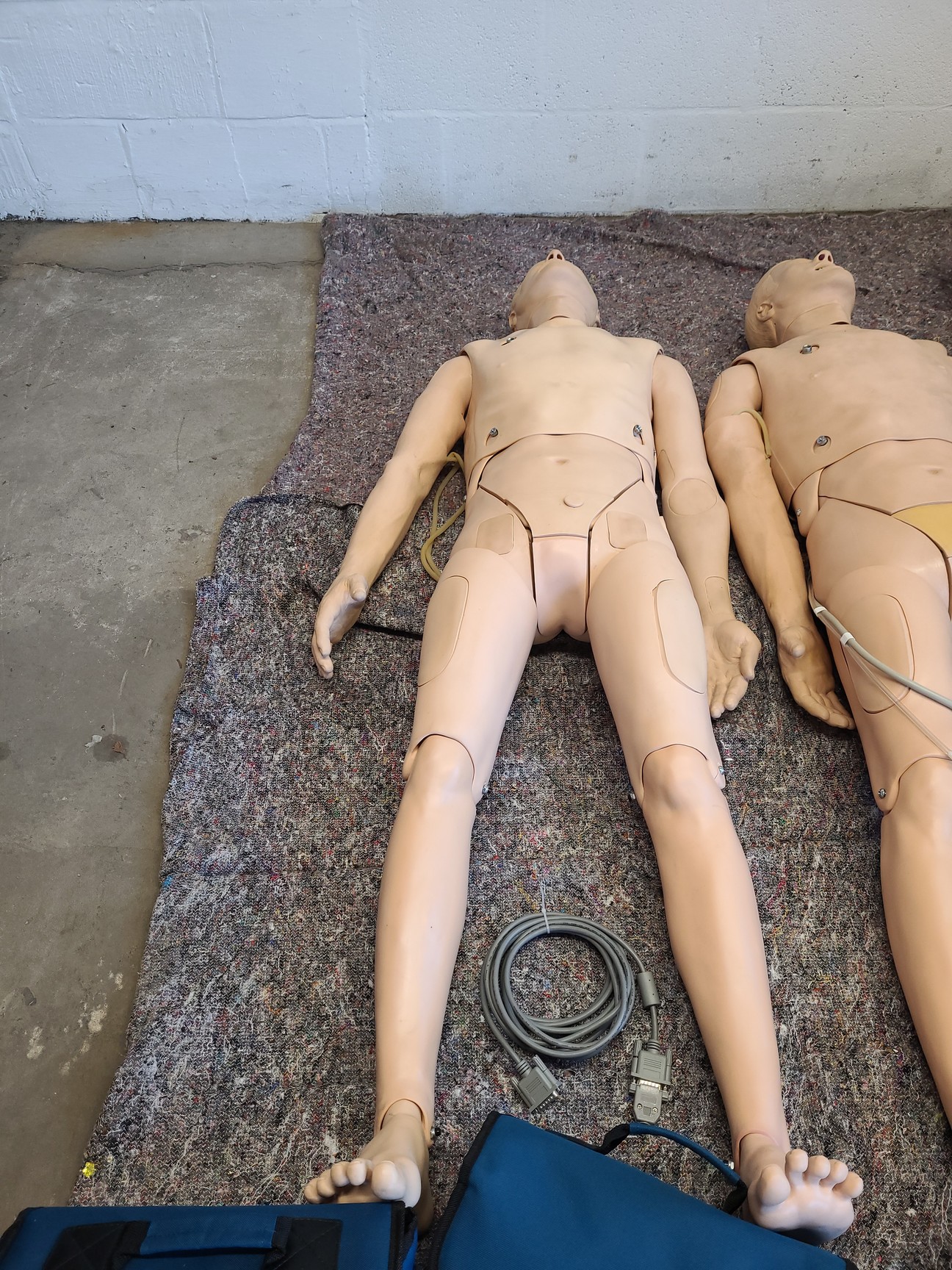 Image of 3 x Medical Practice First Aid Dummies & 6 x VitalSim Vital Signs Simulators Lab