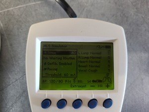 Thumbnail image of 3 x Medical Practice First Aid Dummies & 6 x VitalSim Vital Signs Simulators Lab