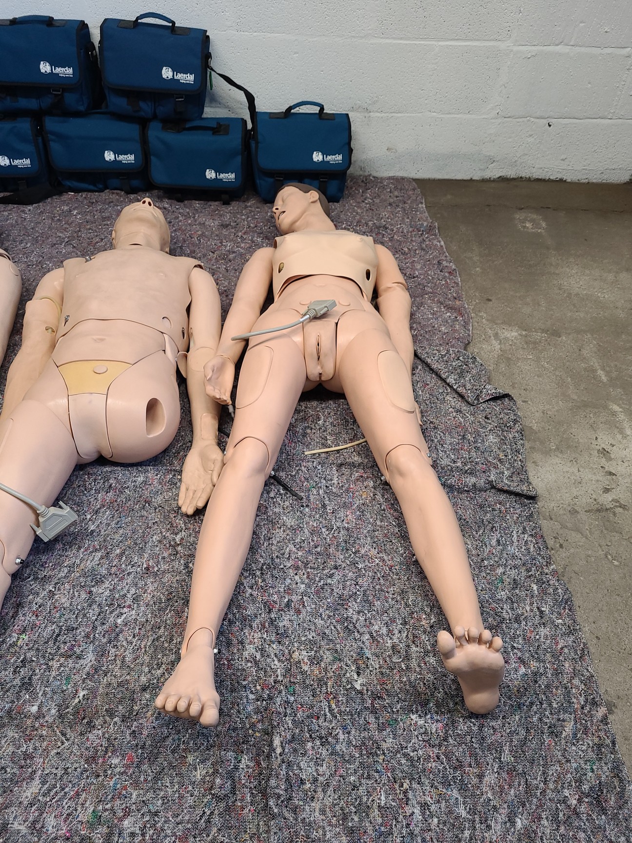 Image of 3 x Medical Practice First Aid Dummies & 6 x VitalSim Vital Signs Simulators Lab