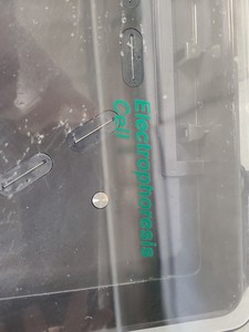 Thumbnail image of Bio-Rad Chef DR-II Electrophoresis System - Cooling, Control, Drive Module Lab