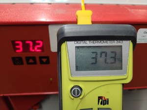 Thumbnail image of Jencons LTD WTC Binder Double Door Drying Oven Lab
