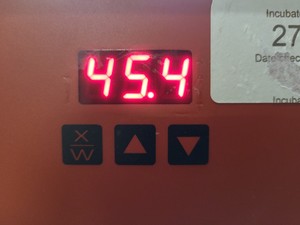 Thumbnail image of Pair of Jencons LTD WTC Binder Double Door Drying Ovens Lab Spares/Repairs