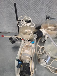 Thumbnail image of 5x Water Distillation Purifier Glass Merit W4000, Schott Duran 10L, Fistreem Lab
