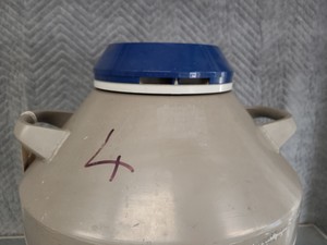 Thumbnail image of Union Carbide 35HC Liquid Nitrogen Cryogenic Storage Dewar (35L) Lab