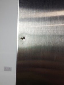 Thumbnail image of Sadia Refrigeration 1270 SS Upright Refrigerator Chill Cabinet S41270SSCPS