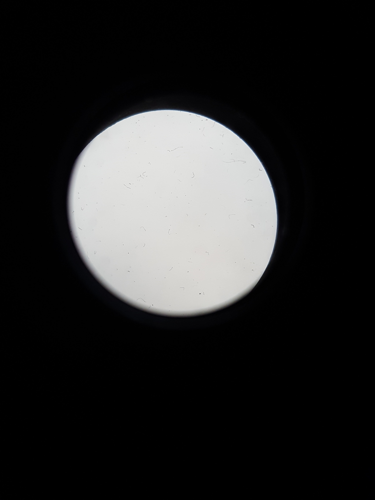 Image of Canon Zoom Lens EF 80-200mm 1:4.5-5.6 - Dust inside