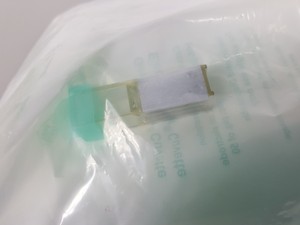 Thumbnail image of 50 x Bio-Rad Gene Pulser/MicroPulser Electroporation Cuvettes, 0.2 cm 1652086 