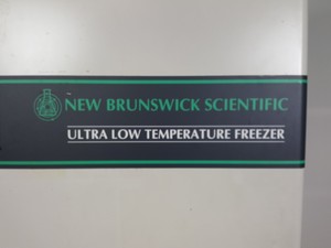Thumbnail image of New Brunswick -86 Ultra Low Temperature Freezer U535 -86