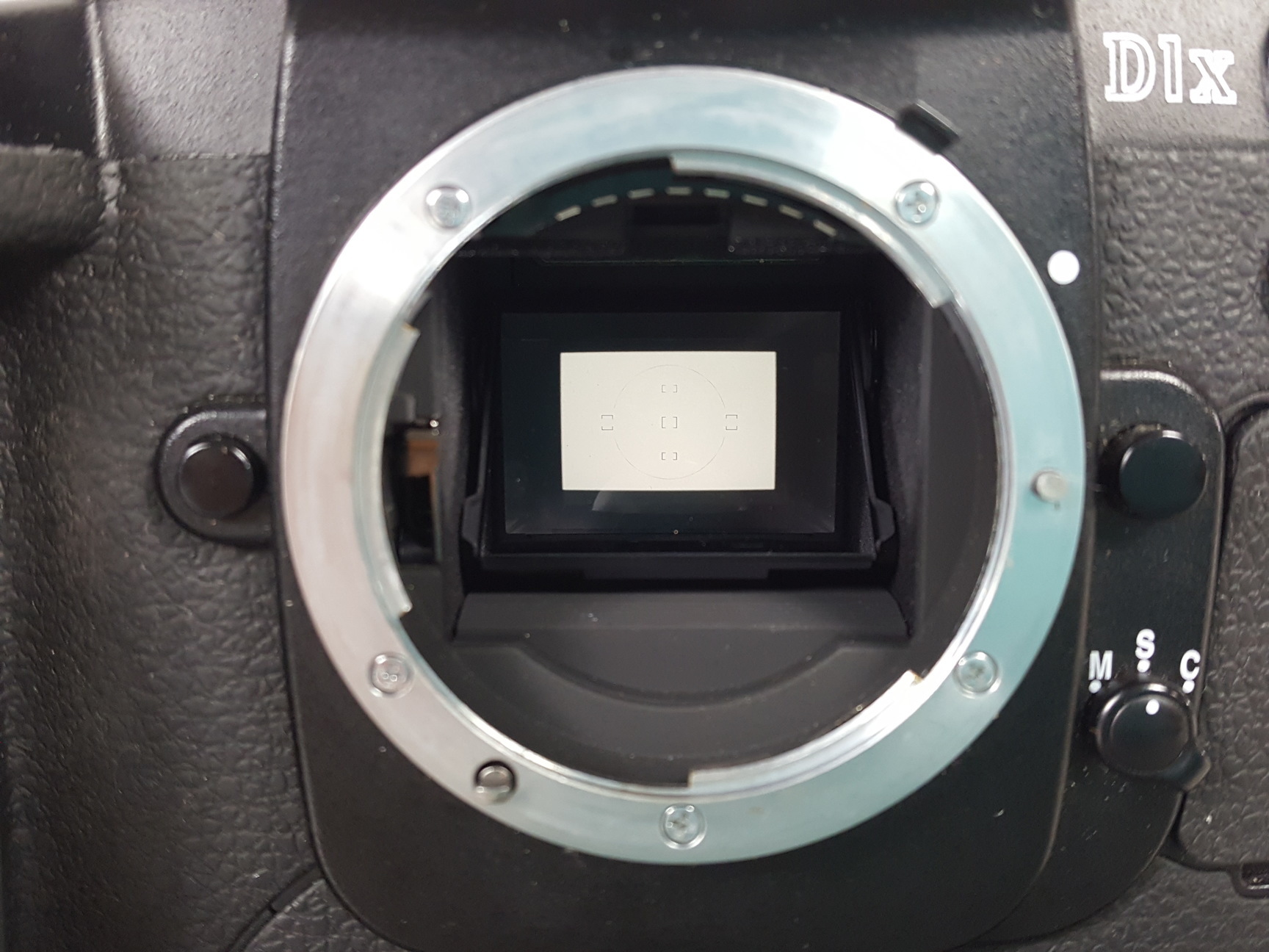 Image of NIKON D1X 5.47 Megapixel SLR Digital Camera