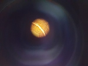 Thumbnail image of Olympus BX60 Trinocular Fluorescence Microscope & 4 UPlanFl Objectives Lab