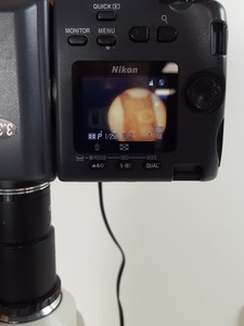 Thumbnail image of Nikon Microphot-SA Microscope w/ 6 Objectives - M Plan, Vickers DIN, Zeiss ph2 