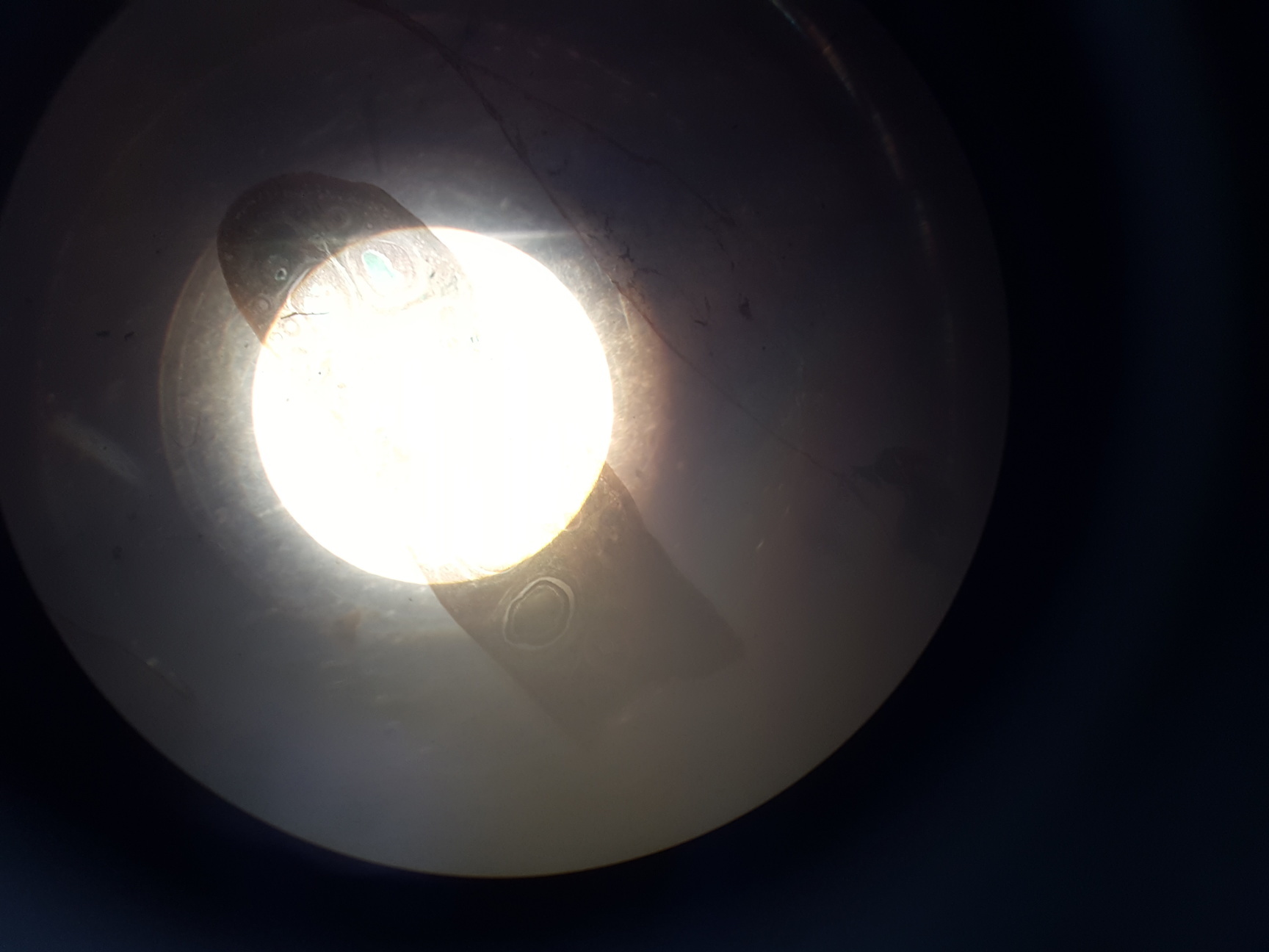 Image of Nikon Microphot-SA Microscope w/ 6 Objectives - M Plan, Vickers DIN, Zeiss ph2 