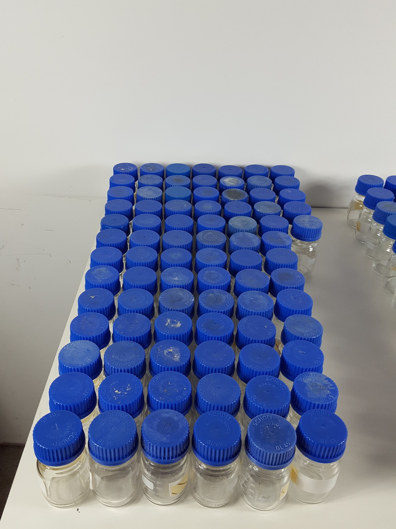 125 x Duran Round Screw Top Laboratory Bottles Lab - 100 & 25ml ...