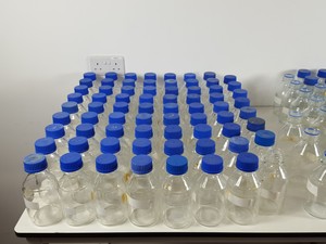 Thumbnail image of 149 x 500ml Laboratory Duran Bottles - Schott, Boro, Pyrex, VWR, FisherBrand Lab