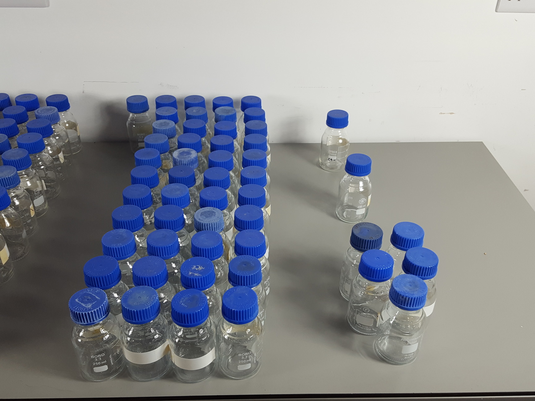 Image of 159 x 250ml Laboratory Duran Bottles - Schott, Pyrex, Fisher, Simax, Boro Lab