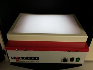 Thumbnail image of Syngene GeneGenius Gel Doc Bioimaging System + UV Transilluminator Lab