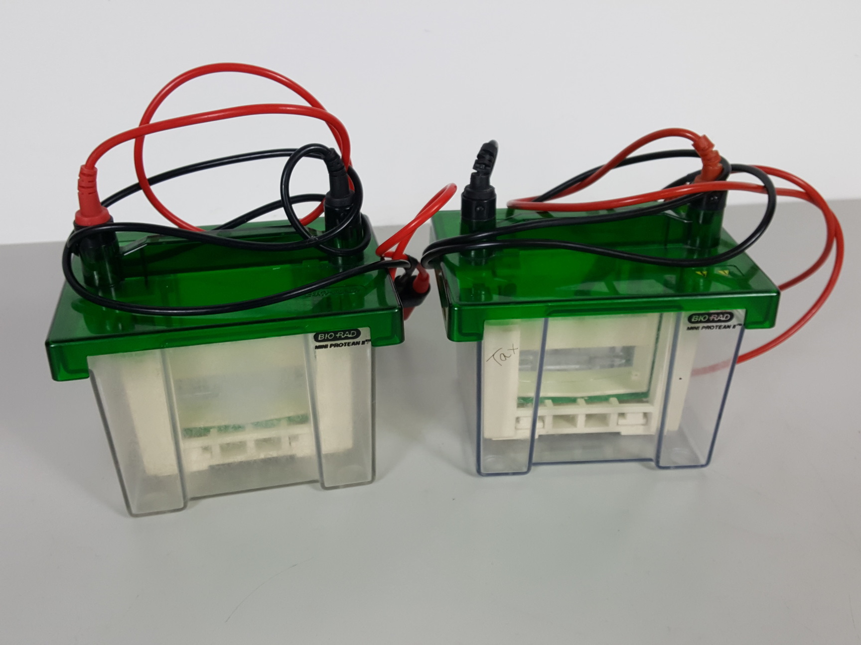 Image of 2 x Bio-Rad Mini Protean II Cell Gel Electrophoresis Units Lab Gel Tanks