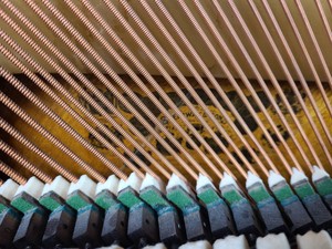 Thumbnail image of Steinway & Sons Upright Piano (92176) Satin Walnut, 1899, 88 keys