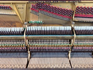 Thumbnail image of Steinway & Sons Upright Piano (92176) Satin Walnut, 1899, 88 keys