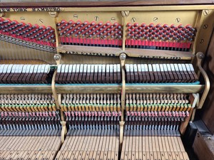 Thumbnail image of Steinway & Sons Upright Piano (92176) Satin Walnut, 1899, 88 keys