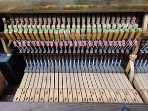 Thumbnail image of Steinway & Sons Upright Piano (92176) Satin Walnut, 1899, 88 keys