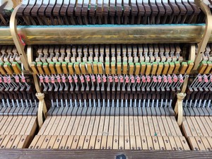 Thumbnail image of Steinway & Sons Upright Piano (92176) Satin Walnut, 1899, 88 keys