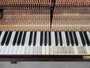 Thumbnail image of George Rogers & Sons Upright Piano (35861), 1925, 88 Keys, Dark Mahogany