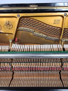 Thumbnail image of Grotrian Steinweg (18583) Model 130 Upright Piano 1906, 85 Key Ebonised Casework