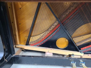 Thumbnail image of C. Bechstein Upright Piano (66420) Model 8, 1903, Ebonised Casework, 88 Keys