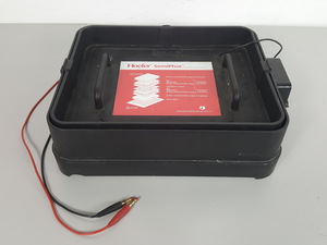 Image of item