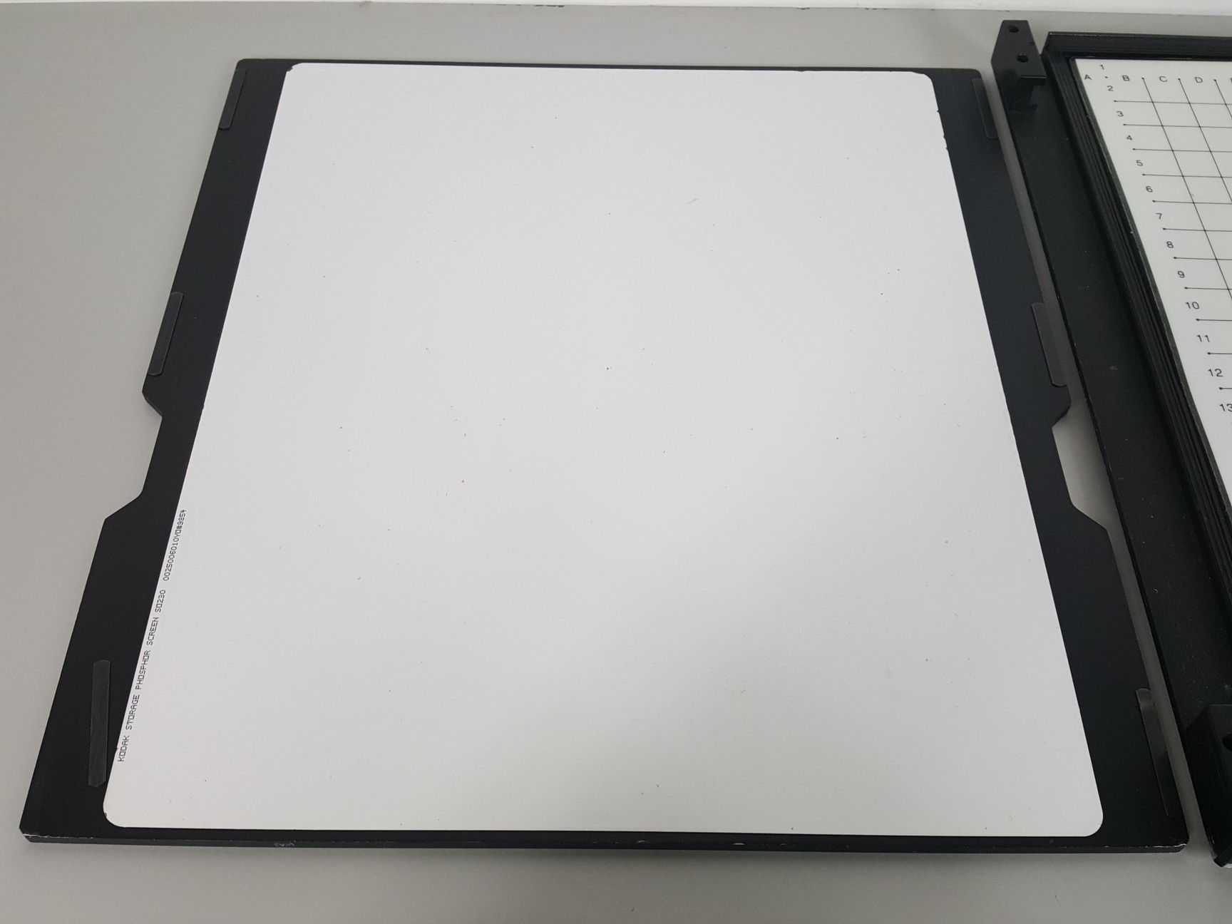 Image of Molecular Dynamics Storage Phosphor Screen Exposure Cassette 35 x 43cm Lab