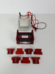 Image of item