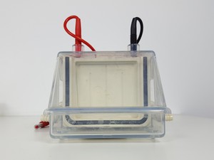 Thumbnail image of Hoefer Mighty Small II SE 250 Electrophoresis Unit & 245 Dual Gel Caster Lab
