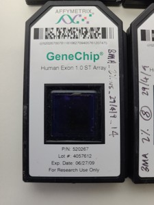 Thumbnail image of 22 X Affymetrix GeneChip Arrays - Human Exon 1.0 ST , Bottles & Racks Lab