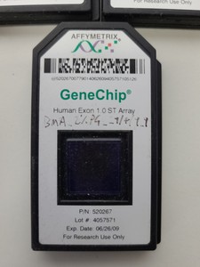 Thumbnail image of 22 X Affymetrix GeneChip Arrays - Human Exon 1.0 ST , Bottles & Racks Lab