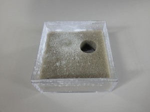 Thumbnail image of BD FACSAria II System - Cell Sorter, Fluidics Cart, PC & Software Lab
