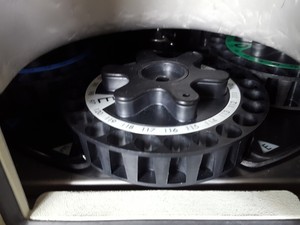 Thumbnail image of Waters Alliance 2965 HPLC + Micromass Quattro Micro API Mass Spec, QAA117 Lab