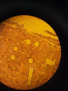 Thumbnail image of Leica Microscope Type 020-518.500 DM/LS II/98 with 5 x C Plan Objectives Lab