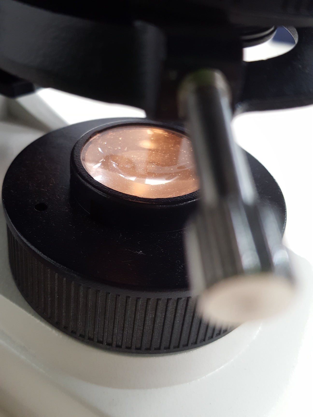 Image of Leica Microscope Type 020-518.500 DM/LS II/98 with 5 x C Plan Objectives Lab