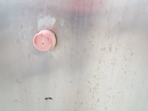 Thumbnail image of STATEBOURNE Liquid Nitrogen Cryogenic Storage Dewar Tank with Racking Lab
