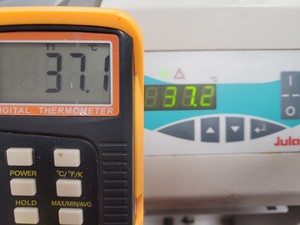 Thumbnail image of Julabo FL300 GB Refrigerated Recirculating Cooler Chiller Water Lab